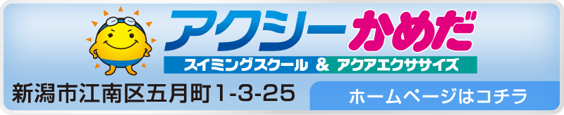 アクシーかめだ